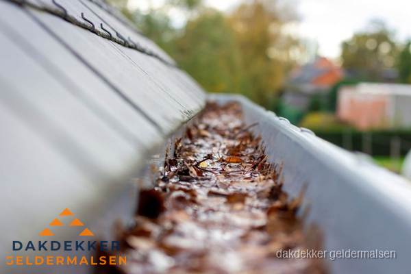 Verstopte dakgoot met bladeren schoonmaken in Geldermalsen