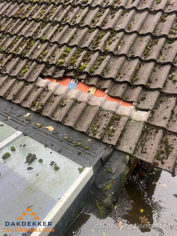 Beschadigd pannendak met ontbrekende dakpannen voor reparatie in Geldermalsen