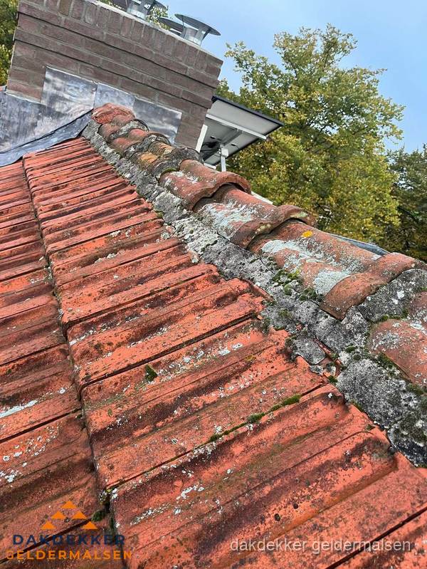 Verweerd hellend dak met mosgroei op nokvorst in Geldermalsen