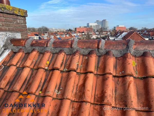 Pannendak met nokvorst en schoorsteen, dakrenovatie in Geldermalsen