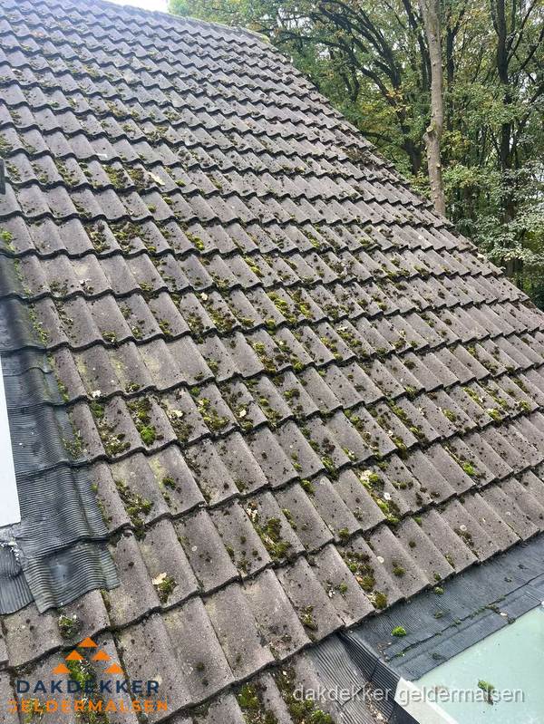 Verweerd pannendak met mosgroei dat renovatie nodig heeft in Geldermalsen