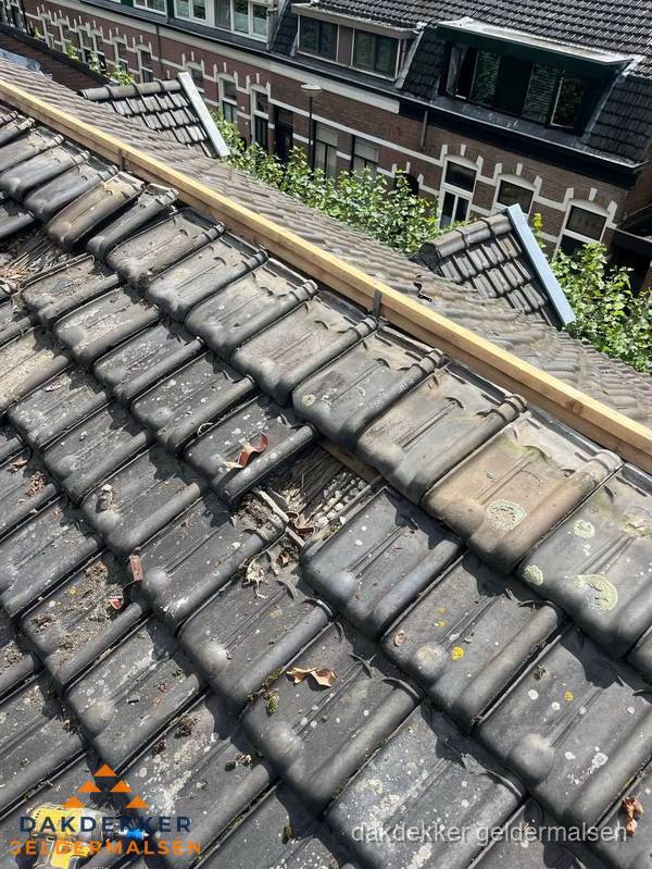 Dakonderhoud aan schuin pannendak met nokvernieuwing in Geldermalsen