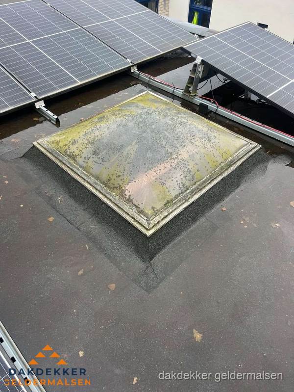 Vervuilde lichtkoepel op plat dak met zonnepanelen in Geldermalsen